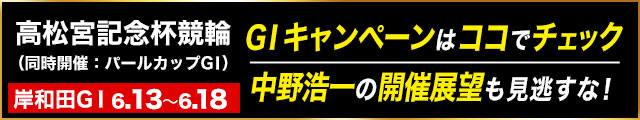 岸和田特設