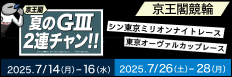 注目開催 シン東京ミリオンナイトレース