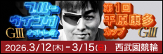 注目開催 ブルーウイングナイトレース