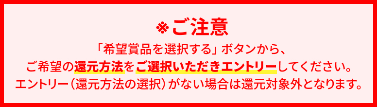 説明イメージ