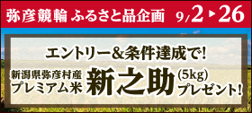 キャンペーン