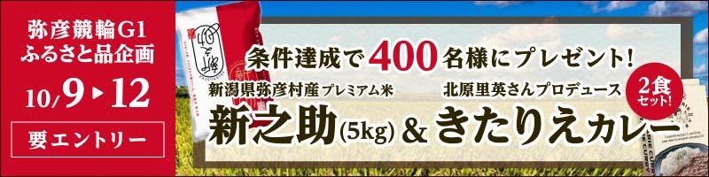【弥彦競輪G1 ふるさと品企画】プレミアム米 新之助（5kg）と「きたりえカレー」セットを400名様にプレゼント！_楽天競輪_Kドリームス