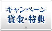 キャンペーン賞金