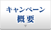 キャンペーン概要